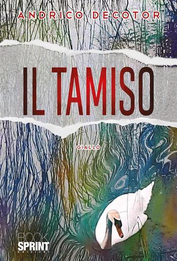 Il tamiso PDF