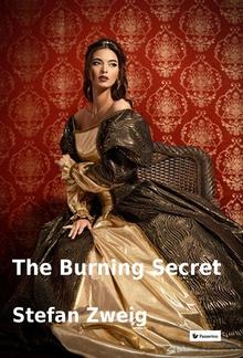 The burning secret PDF