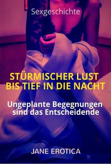 Sexgeschichte: Stürmischer Lust bis tief in die Nacht PDF