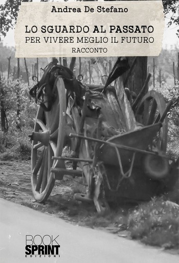 Lo sguardo al passato PDF