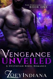 Vengeance Unveiled PDF