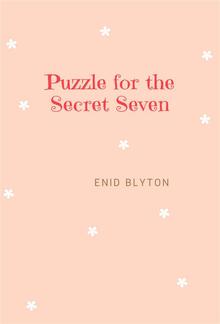 Puzzle for the Secret Seven PDF