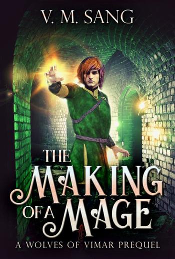 The Making Of A Mage PDF