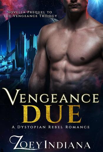 Vengeance Due: Novella Prequel to The Vengeance Trilogy PDF
