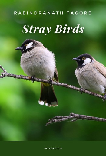 Stray Birds PDF
