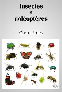 Insectes Et Coléoptères PDF