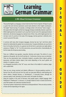 German Grammar ( Blokehead Easy Study Guide) PDF