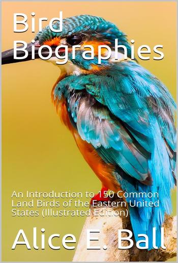 Bird Biographies PDF