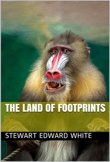 The Land of Footprints PDF