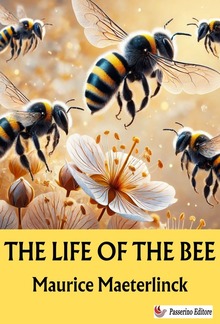 The Life of the Bee PDF