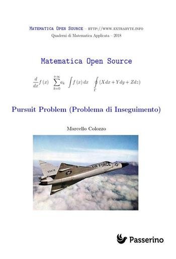 Pursuit Problem (Problema di Inseguimento) PDF