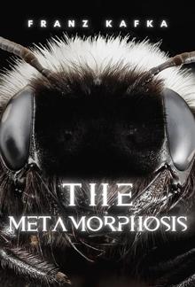 The Metamorphosis PDF