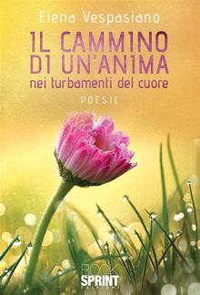 Il cammino di un’anima nei turbamenti PDF