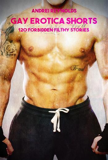 Gay Erotica Shorts - Volume 5 PDF