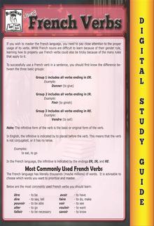 French Verbs ( Blokehead Easy Study Guide) PDF