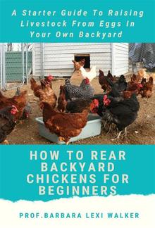 How To Rare a Backyard Chicken For Beginners PDF