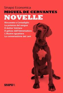 Novelle PDF