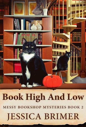 Book High And Low PDF