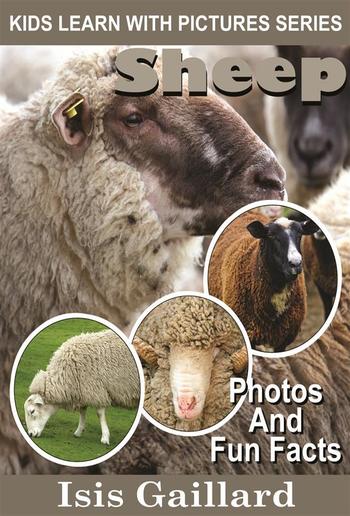 Sheep: Photos and Fun Facts for Kids PDF