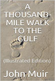 A Thousand-Mile Walk to the Gulf PDF