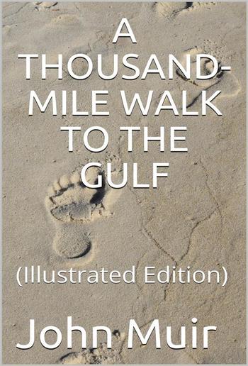 A Thousand-Mile Walk to the Gulf PDF
