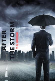 After The Storm PDF