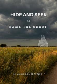 Hide and Seek PDF