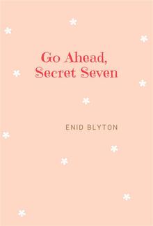 Go Ahead, Secret Seven PDF