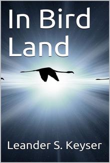 In Bird Land PDF