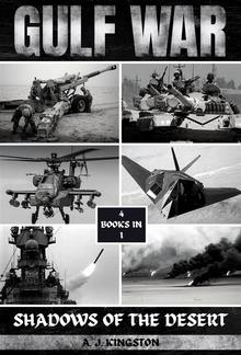 Gulf War PDF