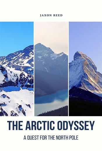 The Arctic Odyssey PDF