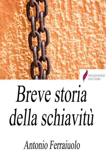 Breve storia della schiavitù PDF