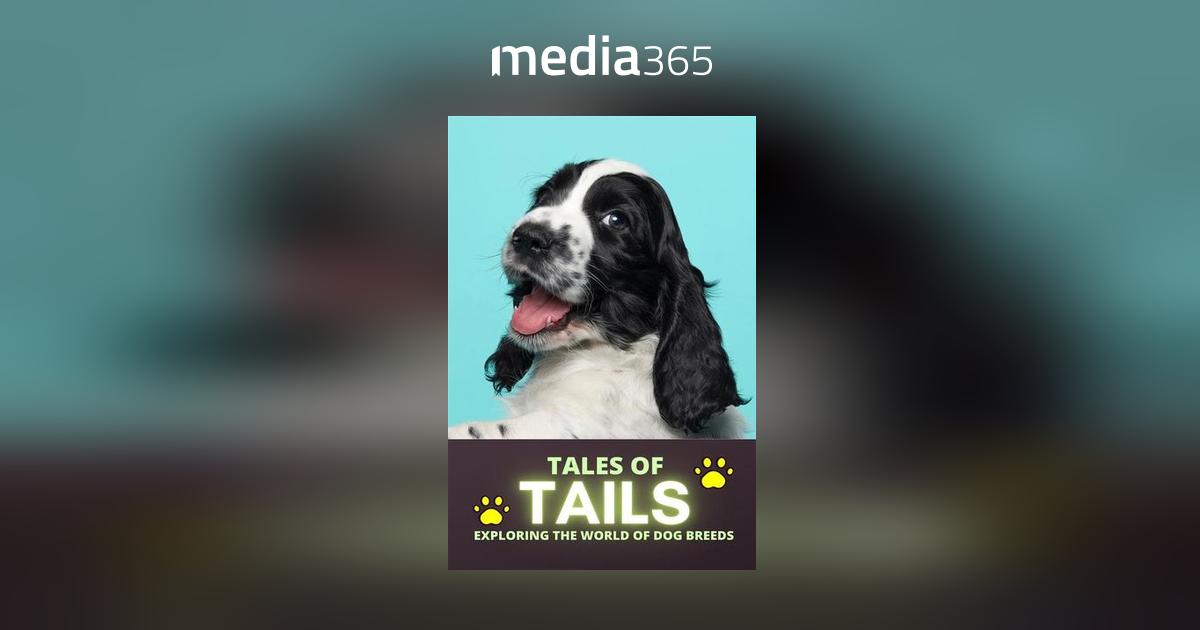 Tales of Tails: Exploring the World of Dog Breeds PDF  Media365