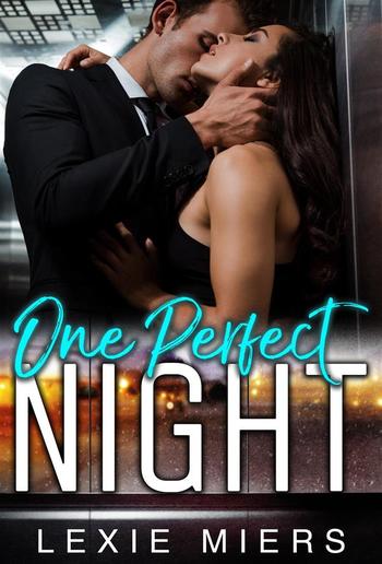 One Perfect Night PDF