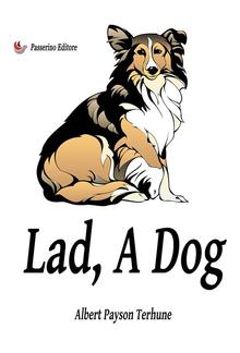 Lad, A Dog PDF