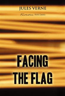 Facing the Flag PDF