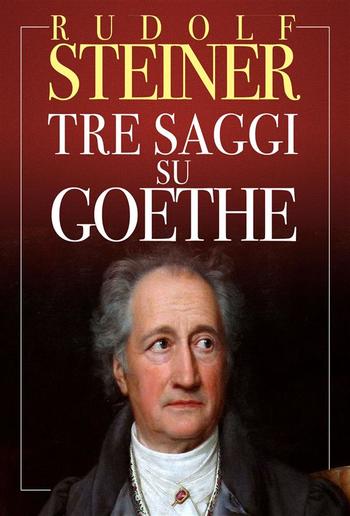 Tre Saggi su Goethe PDF