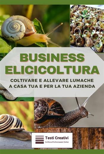 Business Elicicoltura PDF