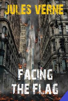 Facing the Flag PDF