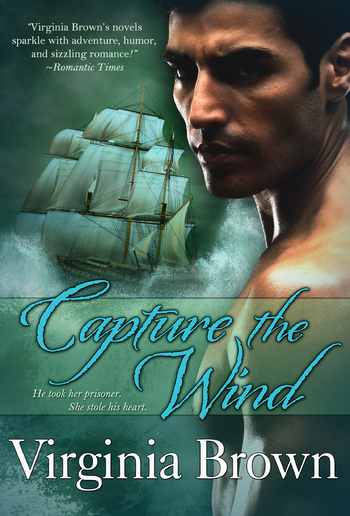 Capture The Wind PDF