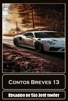 Contos Breves 13 PDF