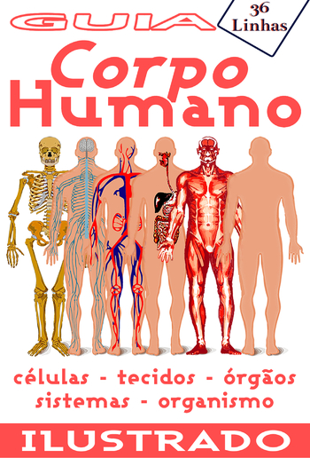 Guia 36 - Corpo Humano PDF