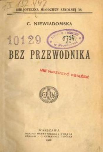 Bez przewodnika PDF