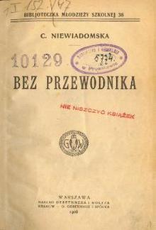 Bez przewodnika PDF