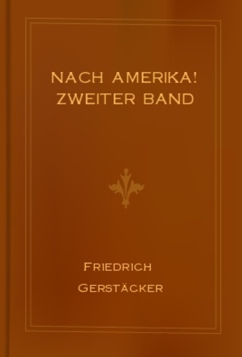 Nach Amerika! Zweiter Band PDF