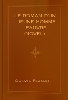 Le Roman d'un jeune homme pauvre (Novel) PDF