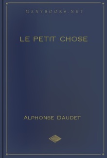 Le petit chose PDF