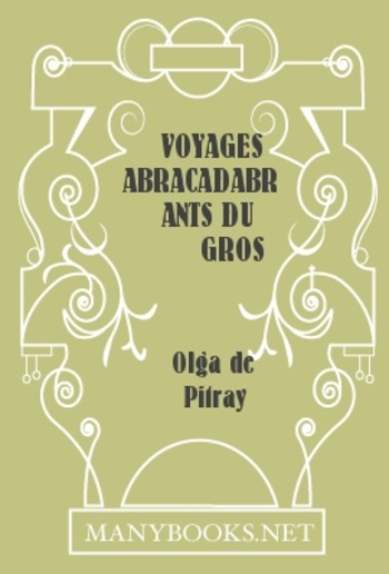 Voyages abracadabrants du gros Philéas PDF