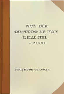 Non dir quattro se non l'hai nel sacco PDF