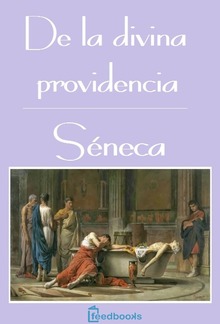 De la Divina Providencia PDF